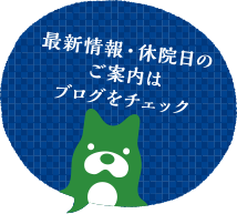 最新情報・休院日のご案内はブログをチェック